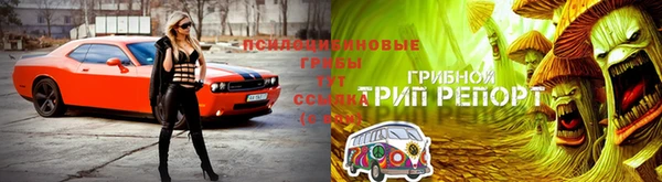 хмурый Абинск