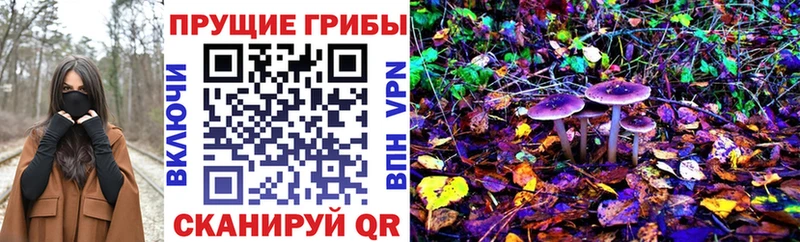 mega рабочий сайт  Барыш  Галлюциногенные грибы прущие грибы 