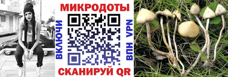 Псилоцибиновые грибы прущие грибы Барыш